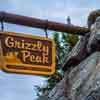 Disney California Adventure Grizzly Peak Airfield June 2016