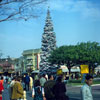 Disneyland Christmas photo, January 1968
