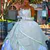 Disneyland Princess and the Frog Costumed Character December 2015
