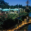 Disneyland Chicken Planation Restaurant September 1961