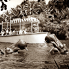 Jungle Cruise hippos, 1966