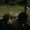 Disneyland Jungle Cruise Hippo pool  September 1958