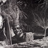 Disneyland Jungle Cruise Angry natives, 1950s