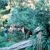 Jungle Cruise Natives, December 1965