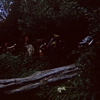 Jungle Cruise Natives, November 1966