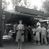 Knotts Berry Farm September 1961