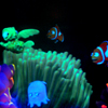 Finding Nemo Submarine Voyage, January 2009