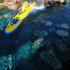 Disneyland Finding Nemo Submarine Voyage photo, April 2012