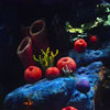 Finding Nemo Submarine Voyage May 2012