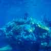 Finding Nemo Submarine Voyage, June 2007