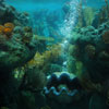 Finding Nemo Submarine Voyage photo, February 2010
