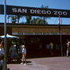 San Diego Zoo, October 1966