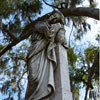 Laurel Grove Cemetery in Savannah, Georgia November 2012