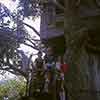 Disneyland Tom Sawyer Treehouse, September 1969