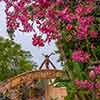 Disneyland Adventureland entrance, August 2006