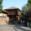 Disneyland Adventureland March 2010