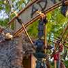 Disneyland Adventureland photo, May 2012