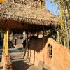 Disneyland Adventureland photo, January 2012