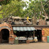 Adventureland June 2008