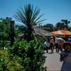 Disneyland Adventureland photo, 1957