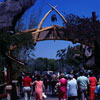 Adventureland, April 26, 1967