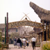 Adventureland, March 1956