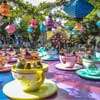 Disneyland Teacup attraction photo, March 2012