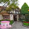 Disneyland Teacup attraction photo, June 2009