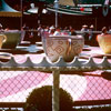 Disneyland Teacups, December 1961