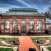 Asheville, North Carolina Biltmore Estate Conservatory photo, March 2013