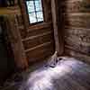 Wood family cabin, Atlanta History Center, October 2023