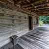 Wood family cabin, Atlanta History Center, October 2023