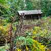 Wood family cabin, Atlanta History Center, October 2023