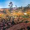 Cyclorama exhibit, Atlanta History Center, October 2023