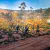 Cyclorama exhibit, Atlanta History Center, October 2023