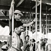 Disneyland 40 Pounds of Trouble Tony Curtis photo, 1962