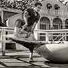 Disneyland 40 Pounds of Trouble Tony Curtis photo, 1962