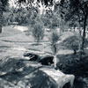 Disneyland Autopia photo, September 1962