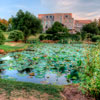 Indiana Universty Bloomington Campus photo, July 2012