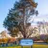 Old Graveyard 1863 in Bridgewater, Massachusetts, November 2017