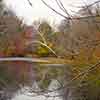 Brandywine River Museum, November 2001