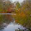 Brandywine River Museum, November 2001