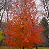 Brandywine River Museum November 2001