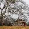 Lafayette's Headquarters, Brandywine Battlefield, February 2009