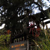 Big Thunder Mountain Railroad, February 2009