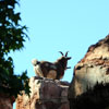 Big Thunder Mountain Railroad, April 2009