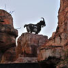 Disneyland's Big Thunder Mountain Railroad March 2012