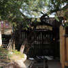 Big Thunder Mountain Railroad, December 2008