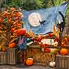 Big Thunder Mountain Ranch Halloween photo, October 2010