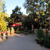 Big Thunder Mountain Ranch Reindeer Roundup photo, December 2011